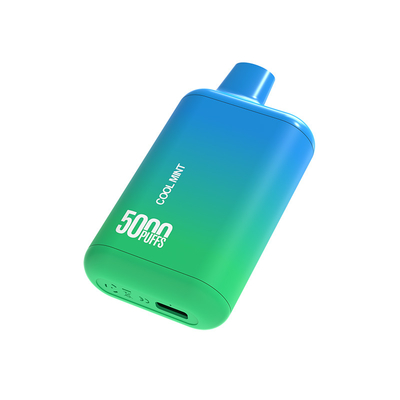 前に満たされた涼しいミントの使い捨て可能なVapeのペン10.0ml 5000のパフ